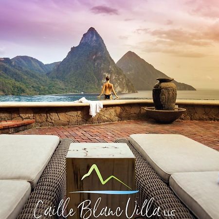 Caille Blanc Villa & Hotel (Adults Only) Mamin エクステリア 写真